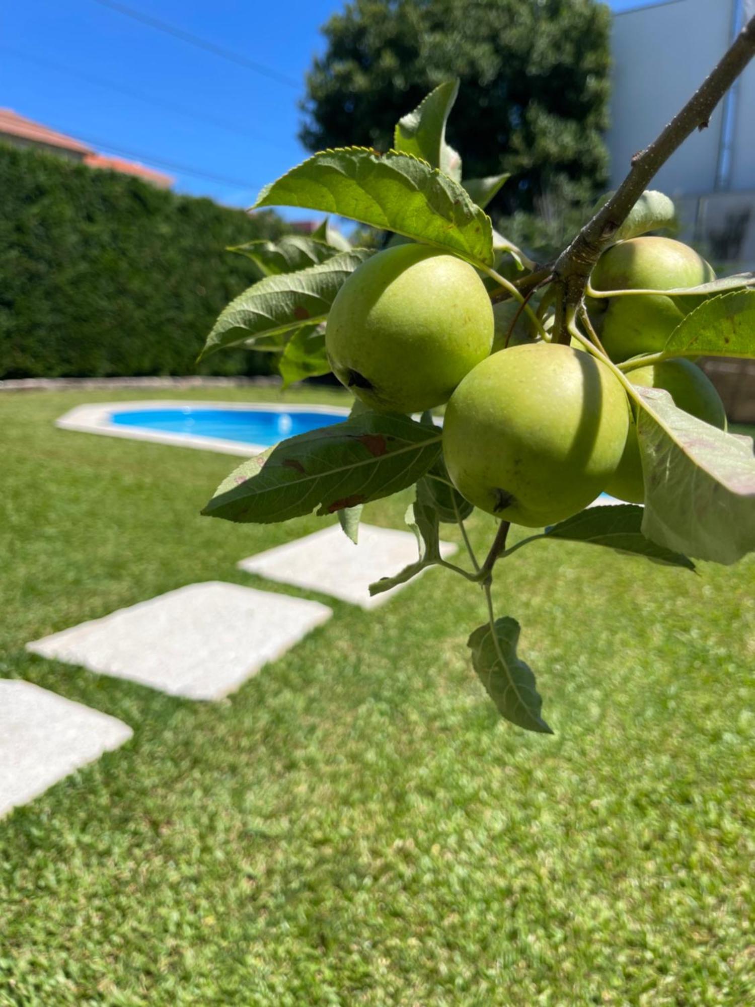 Casa Do Albano Villa เวียนา โด กัสเตโล ภายนอก รูปภาพ